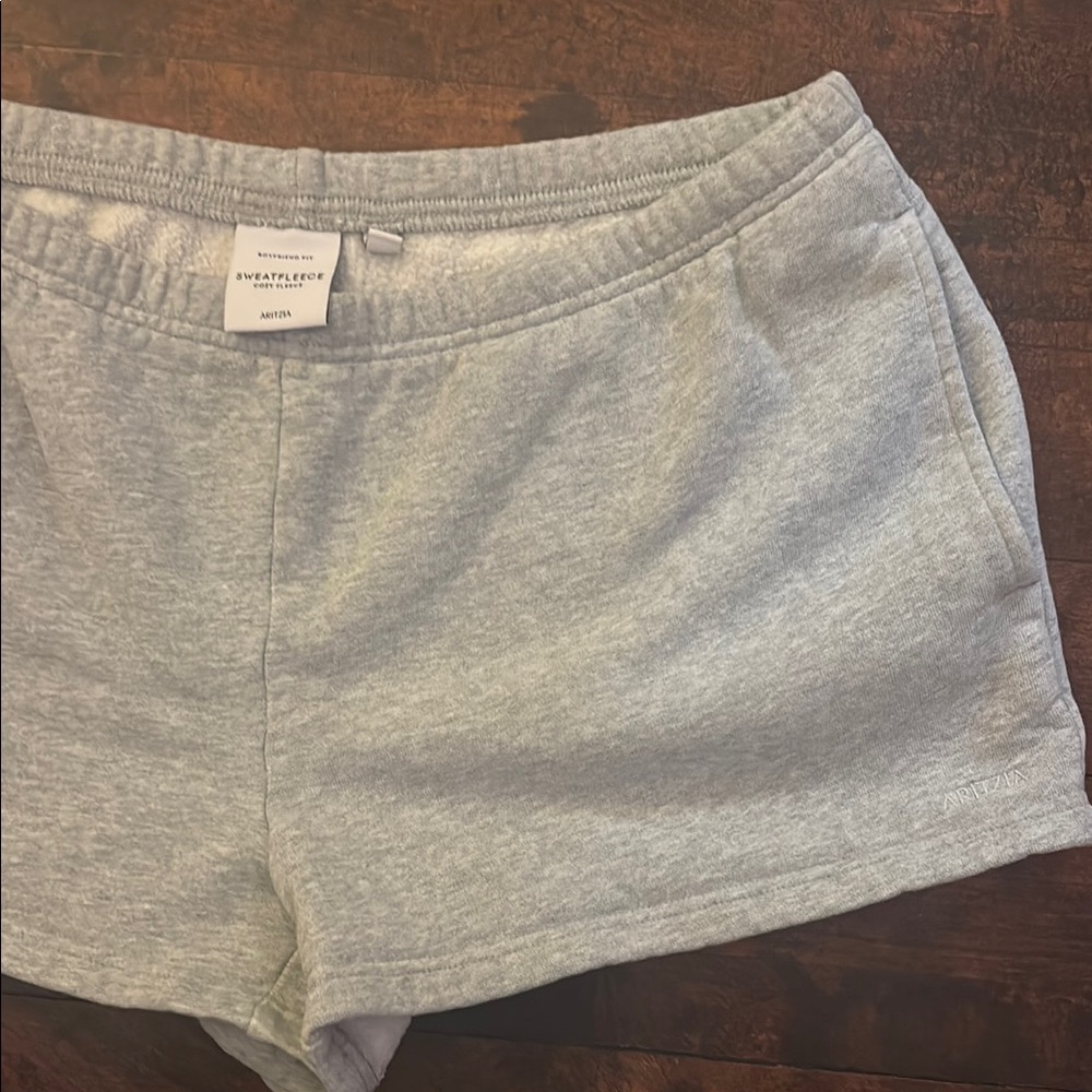 Aritzia Sweatfleece Gray Women's Shorts